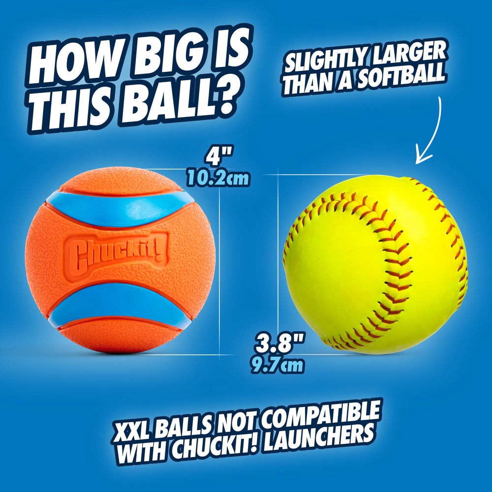 Chuckit! Ultra Ball Medium (2.5 in) 2-Pack | High-Bounce Rubber Fetch Toy - feature view 21