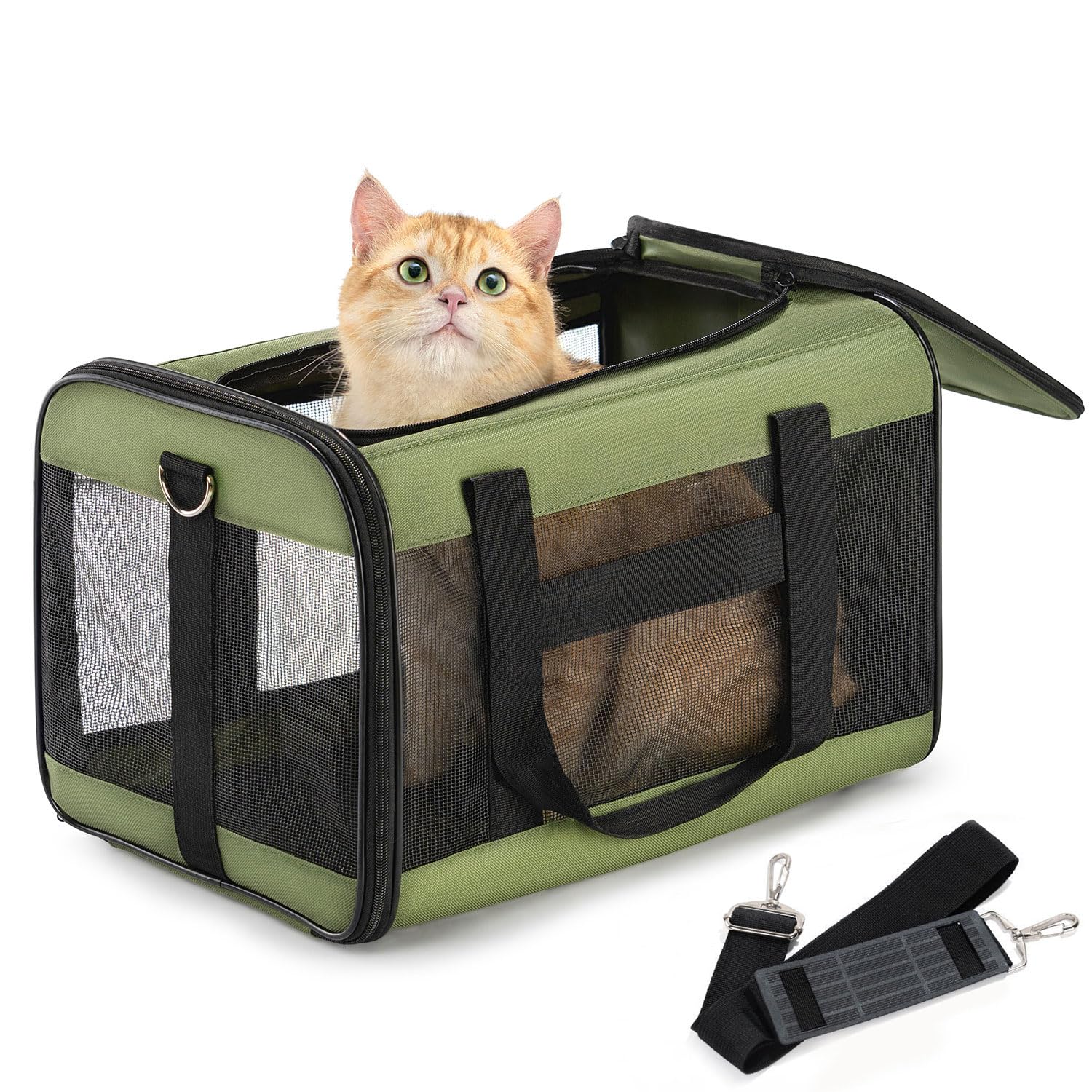 Conlun Airline-Approved Cat Carrier | Soft-Sided with Safety Leash, 15 lb - 43L x 28W x 28H cm / Green