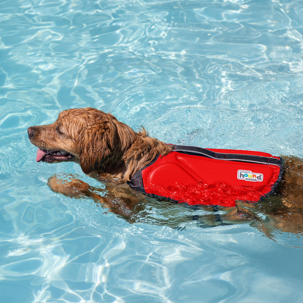 Outward Hound Granby Splash Orange Dog Life Jacket (Large) | Ripstop Vest - feature view 35