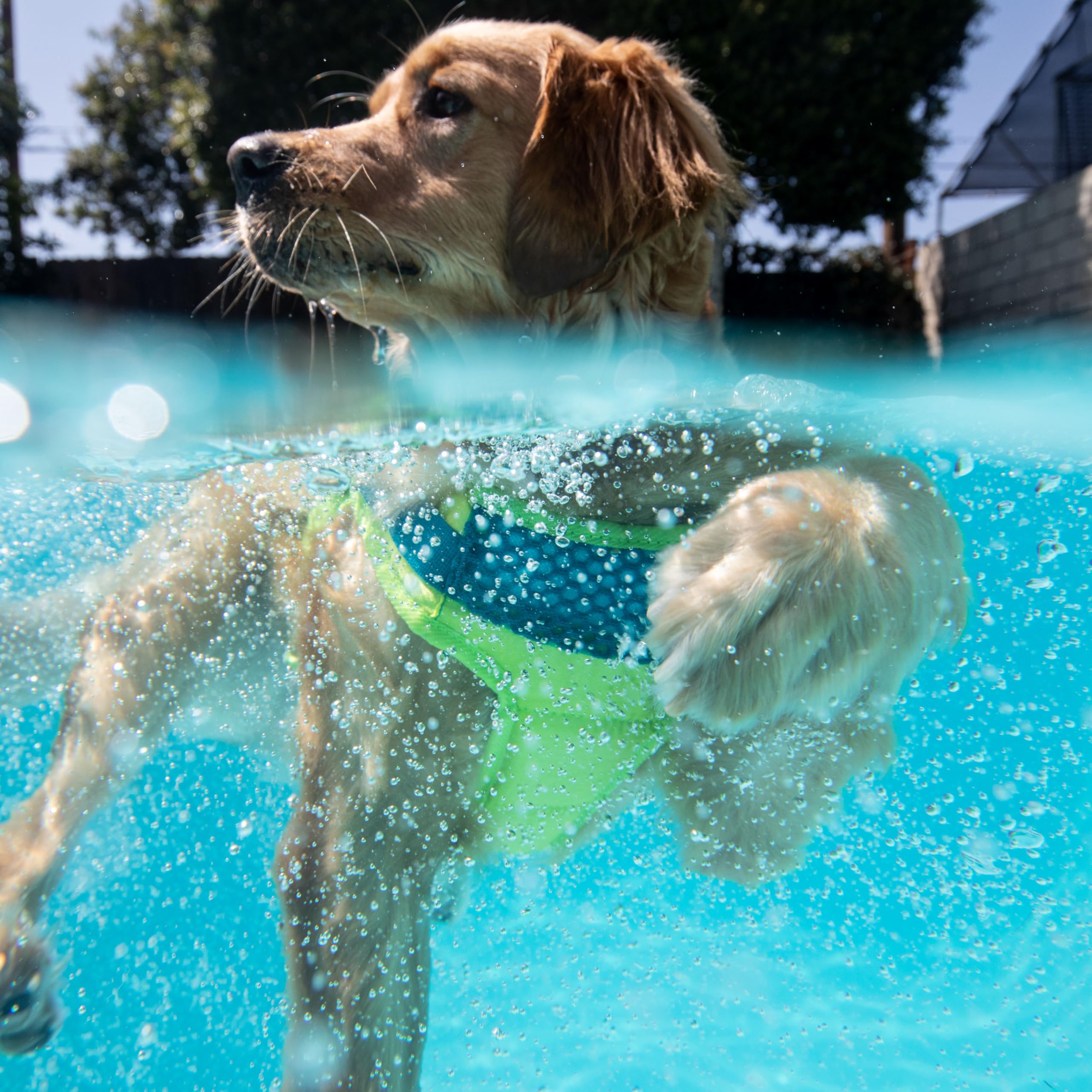 Outward Hound Granby Splash Orange Dog Life Jacket (Large) | Ripstop Vest - view 93