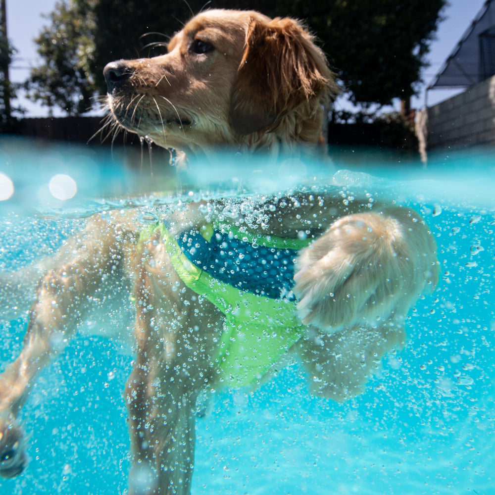Outward Hound Granby Splash Orange Dog Life Jacket (Large) | Ripstop Vest - view 61