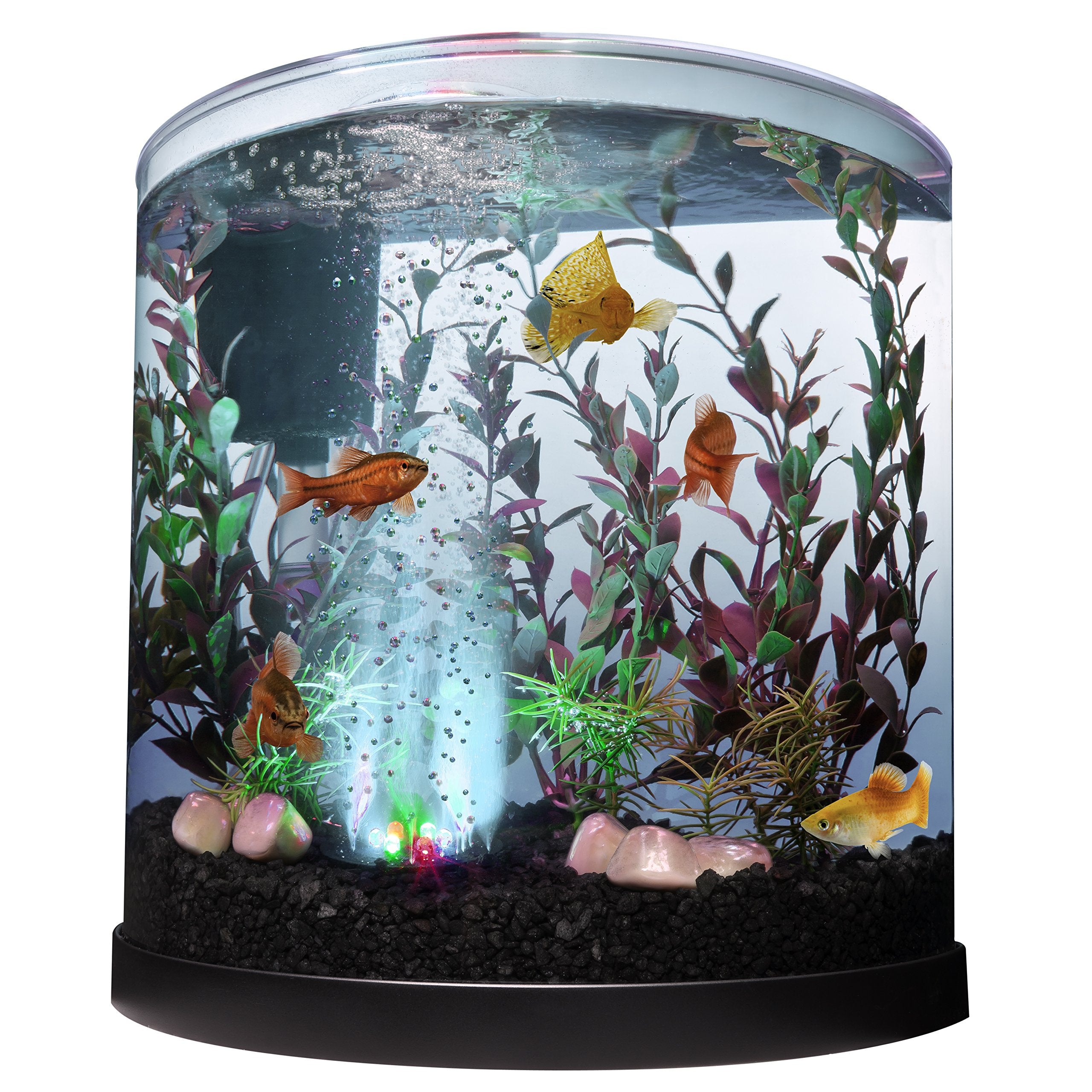 Tetra Bubbling LED 3-Gallon Half-Moon Aquarium Kit | Color-Changing - detail view