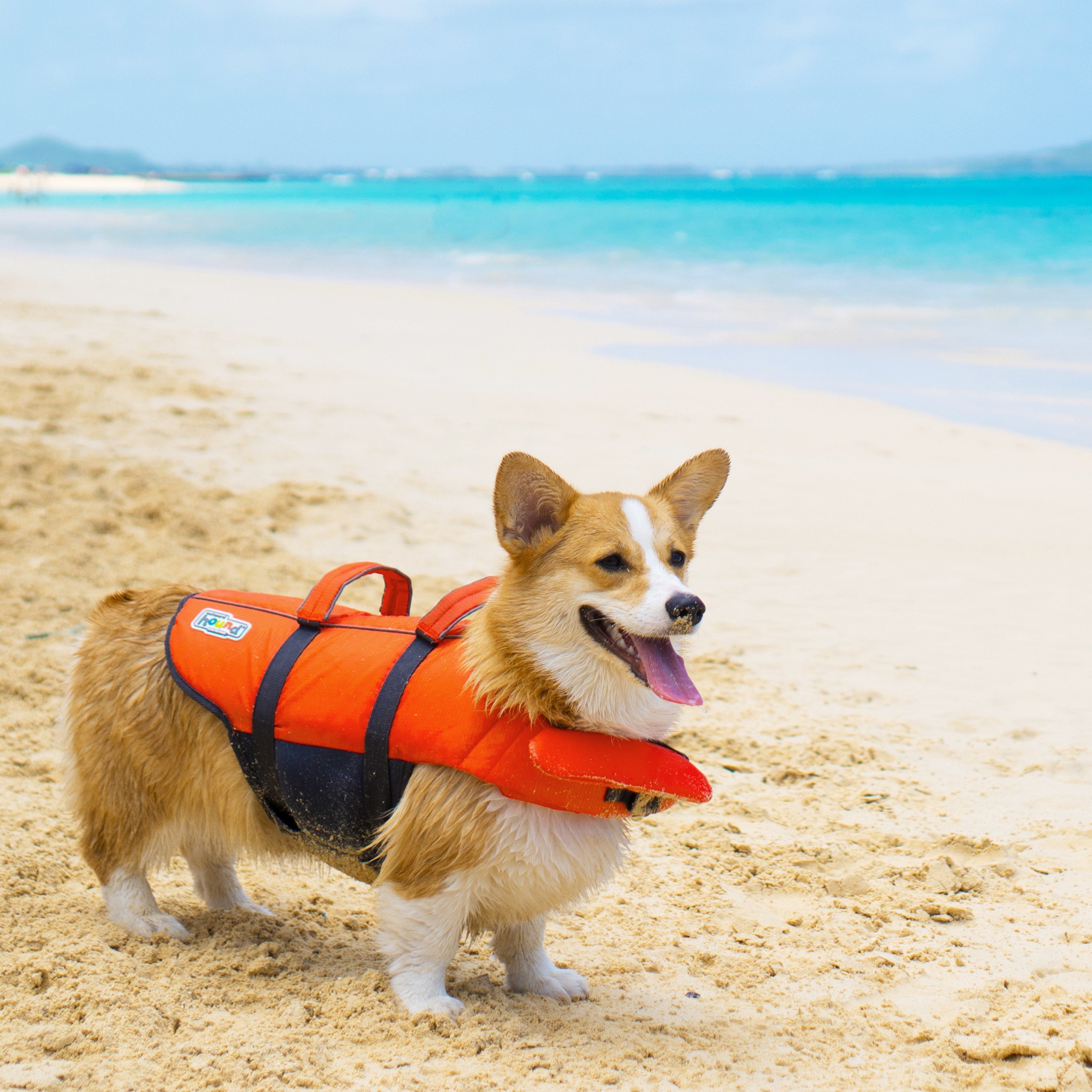 Outward Hound Granby Splash Orange Dog Life Jacket (Large) | Ripstop Vest - feature view 50