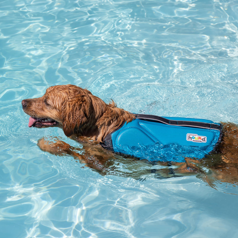 Outward Hound Granby Splash Orange Dog Life Jacket (Large) | Ripstop Vest - view 88