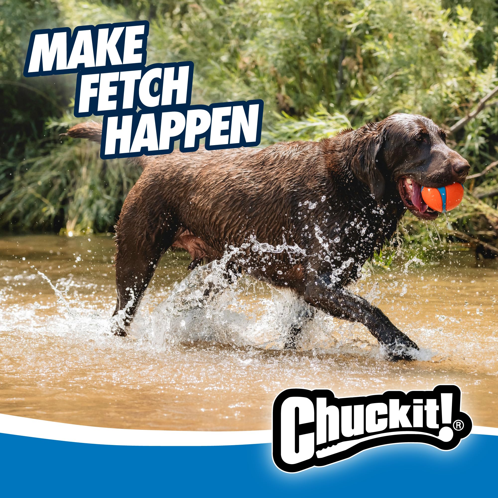 Chuckit! Ultra Ball Medium (2.5 in) 2-Pack | High-Bounce Rubber Fetch Toy - feature view 24