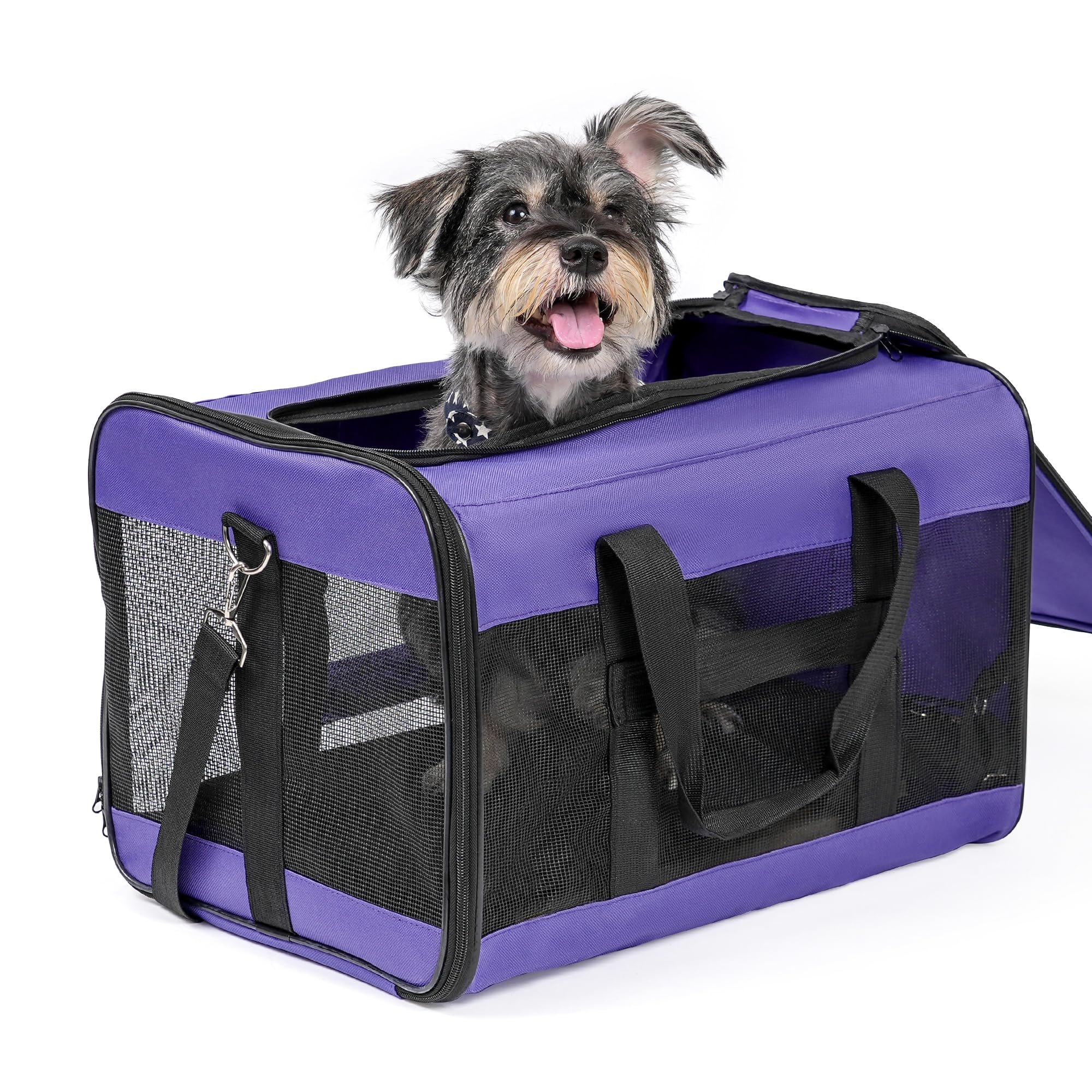 Conlun Airline-Approved Cat Carrier | Soft-Sided with Safety Leash, 15 lb - 51L x 29W x 31H cm / Purple