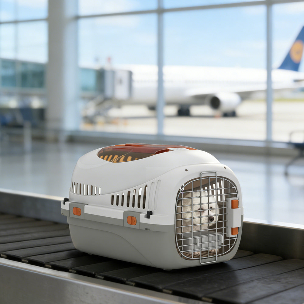 Hard-Sided Travel Pet Carrier, Plastic Dog and Cat Kennel for Small Dogs - view 7