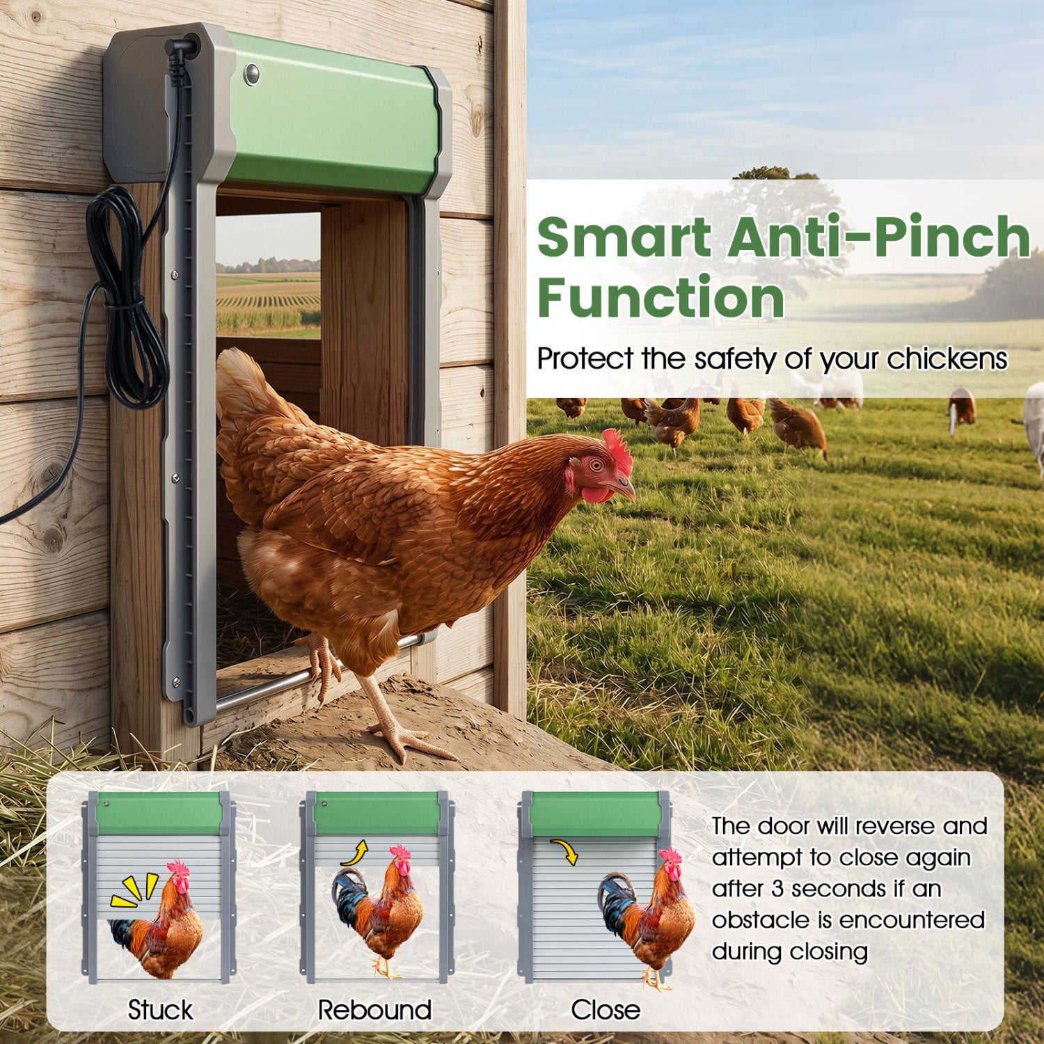Automatic Chicken Coop Door with Remote Control and Light Sensor Timer - view 5