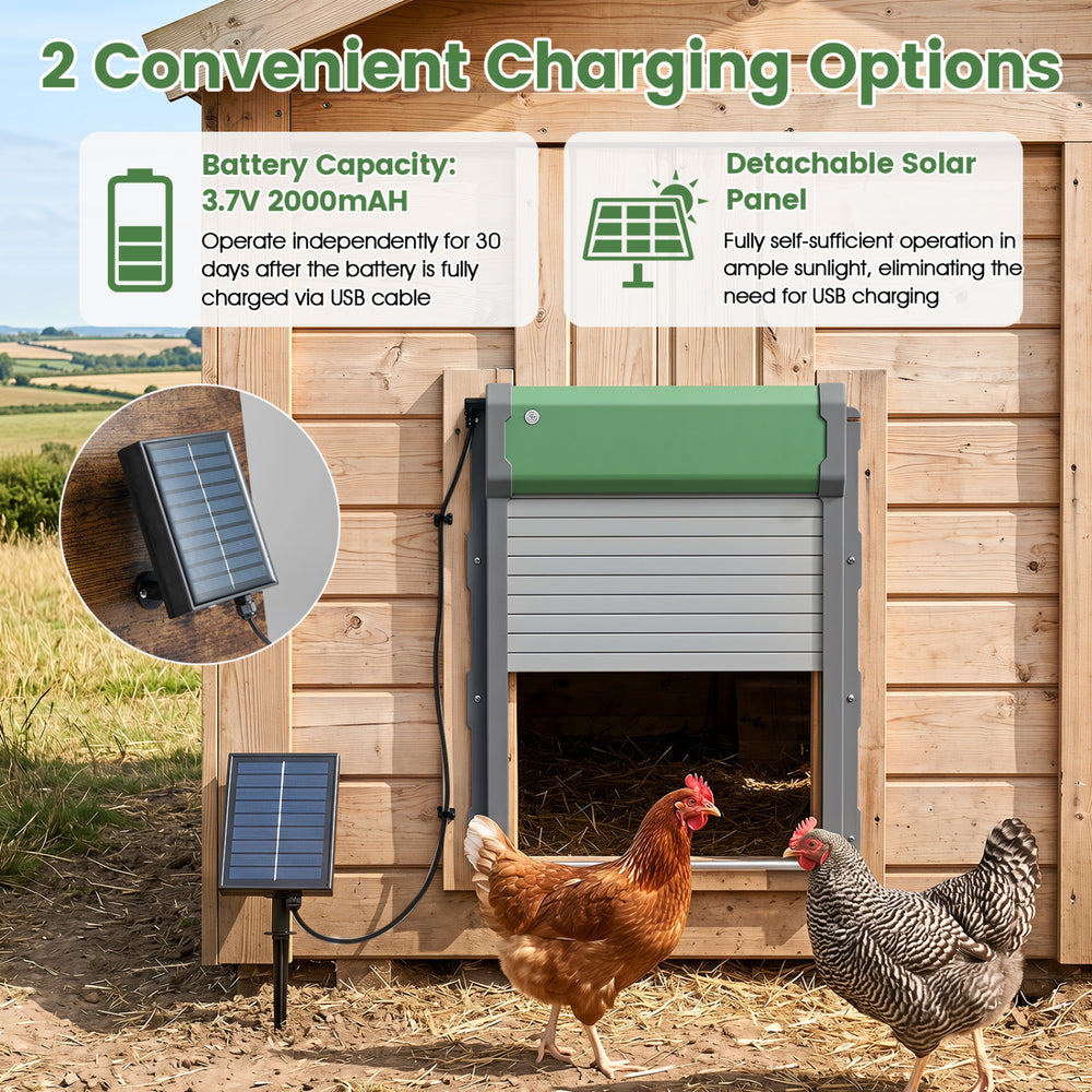 Automatic Chicken Coop Door with Remote Control and Light Sensor Timer - view 7