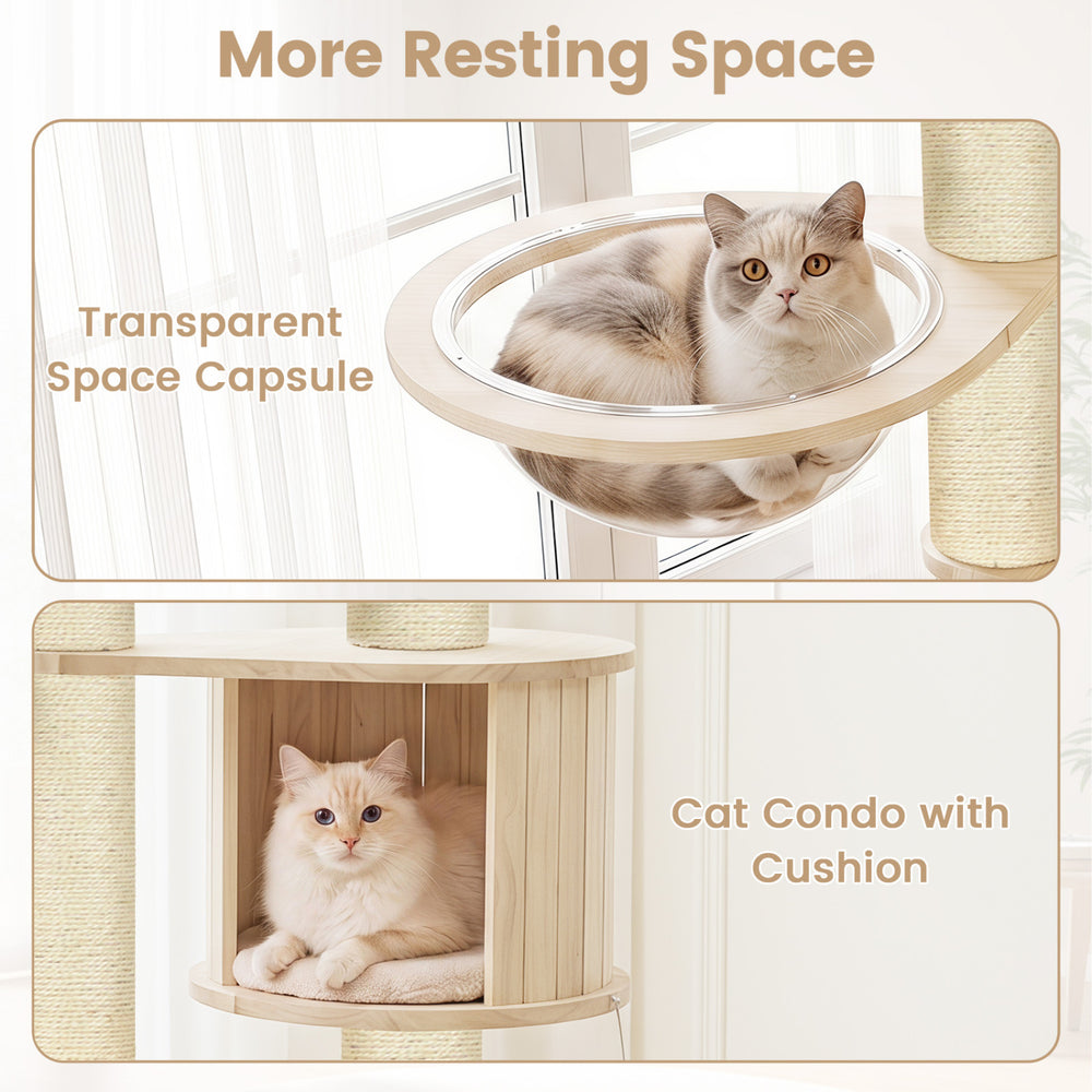 Cat Tree for Indoor Kittens with Top Perch Condo Space and 3 Hanging Feather - view 8