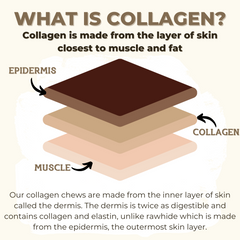 10-12 Inch Collagen Stick