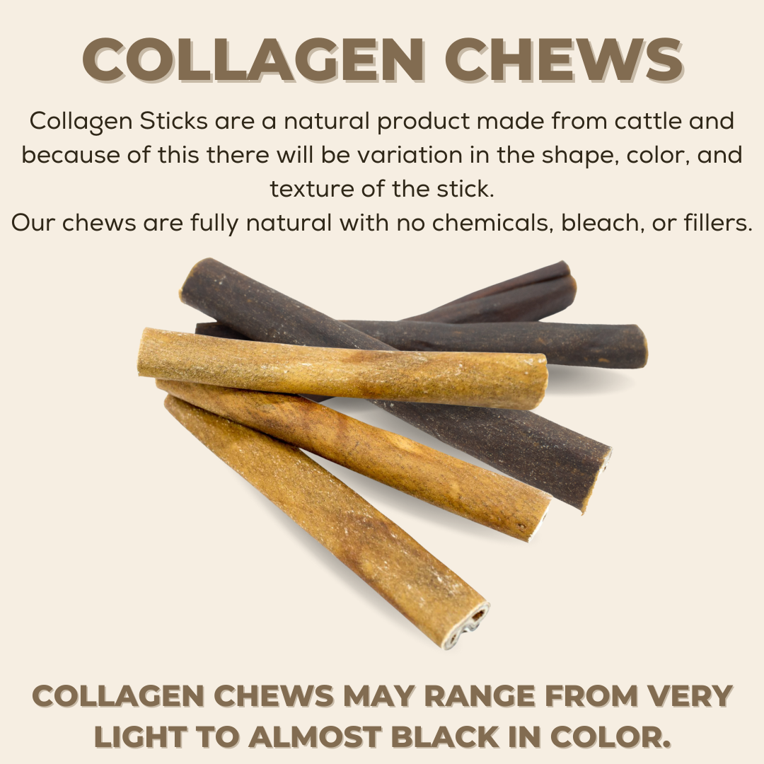 5-6 Inch Champion Chew