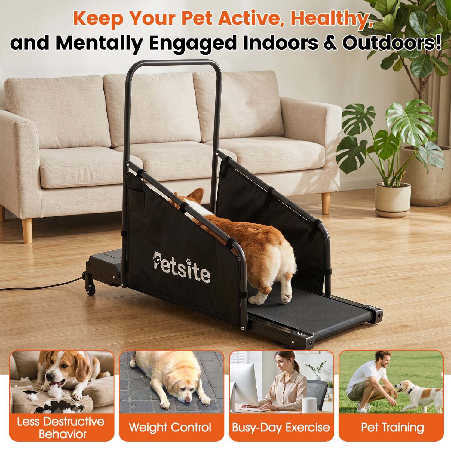 Dog Treadmill with Remote Control and LCD Display for Small Medium Dogs Dog - view 4