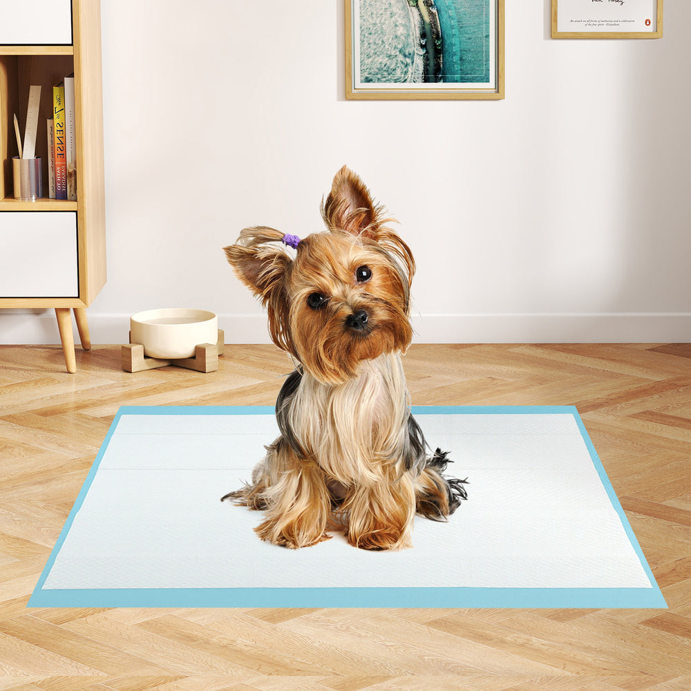 Dog and Puppy Pee Pads 24" x 17" (300 Counts) for Potty Training Dog Agility - view 2