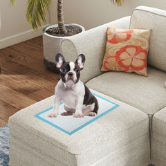Dog and Puppy Pee Pads 18" x 13" (300 Counts) for Potty Training Dog Agility - view 3