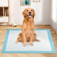 Dog and Puppy Pee Pads 36" x 36" (100 Counts) for Potty Training Dog Agility - view 2