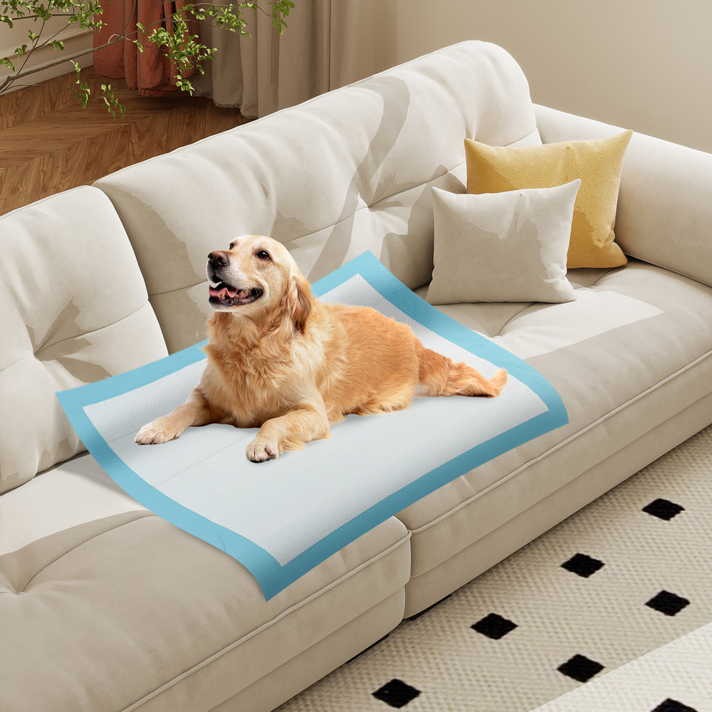 Dog and Puppy Pee Pads 36" x 36" (100 Counts) for Potty Training Dog Agility - view 3