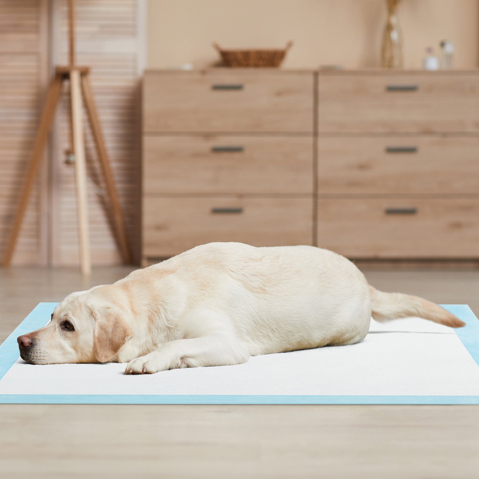 Dog and Puppy Pee Pads 36" x 36" (100 Counts) for Potty Training Dog Agility - view 5