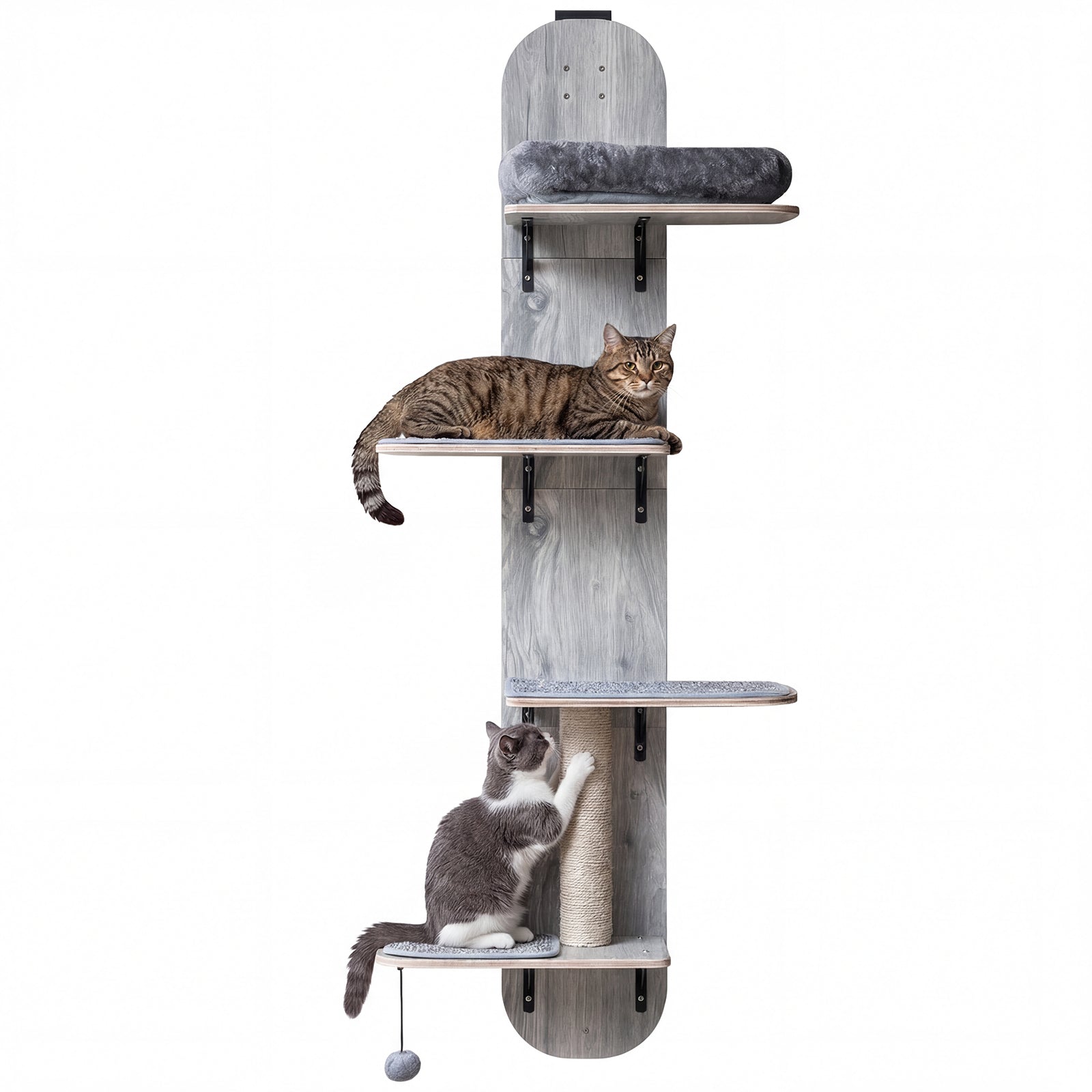 Door Hanging Cat Climber 4-level Height Adjustable with Plush Bed Cat Tree