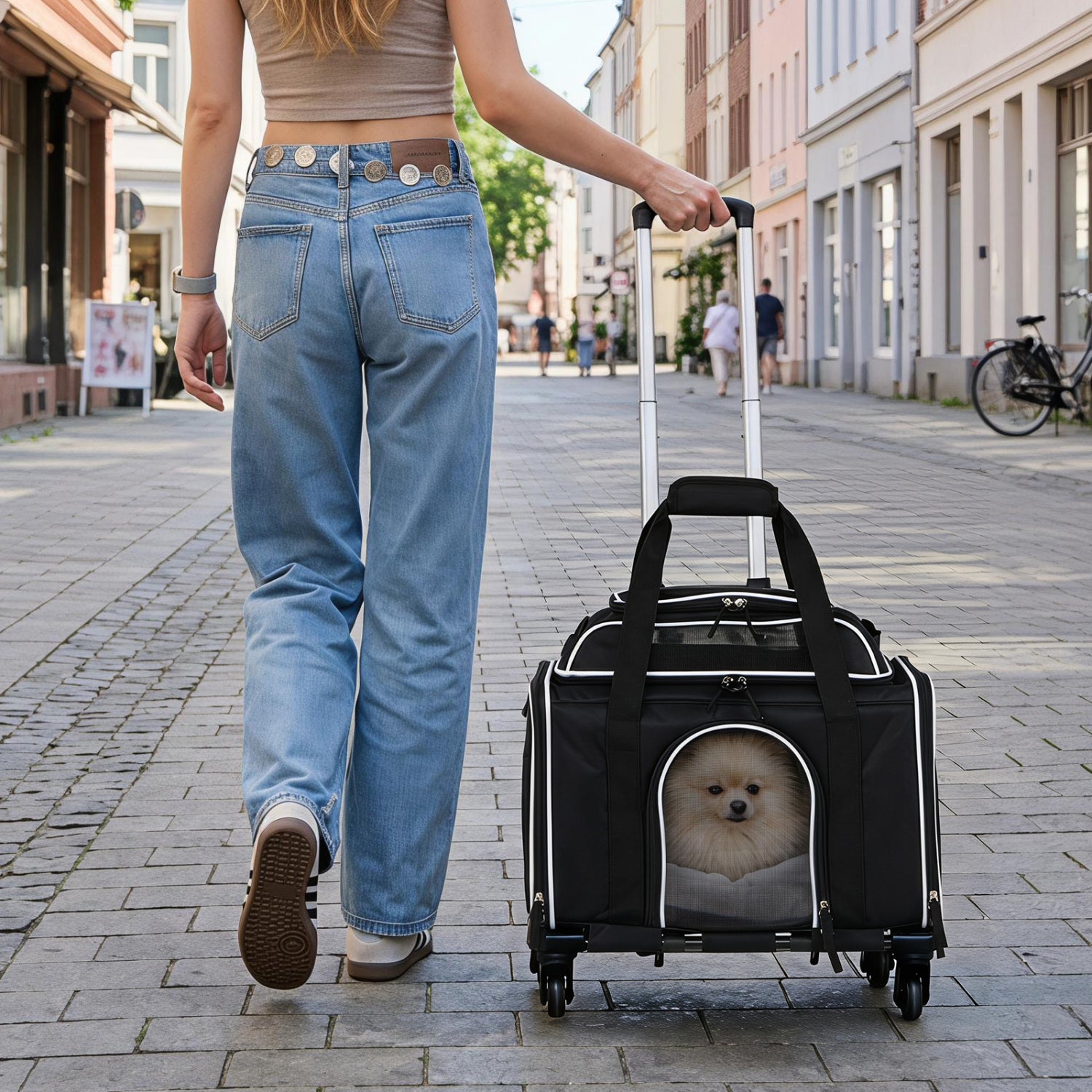 Foldable Pet Carrier with Wheels Airline Approved Rolling Cat and Dog Carrier - view 2