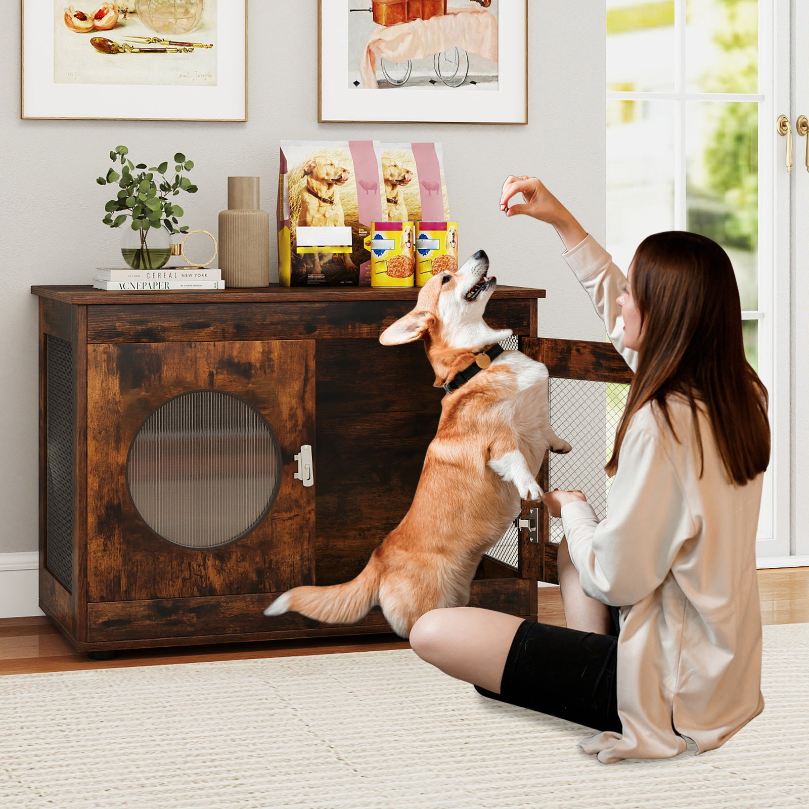 Furniture Style Dog Crate for Small and Medium Dogs with Translucent Window - view 3
