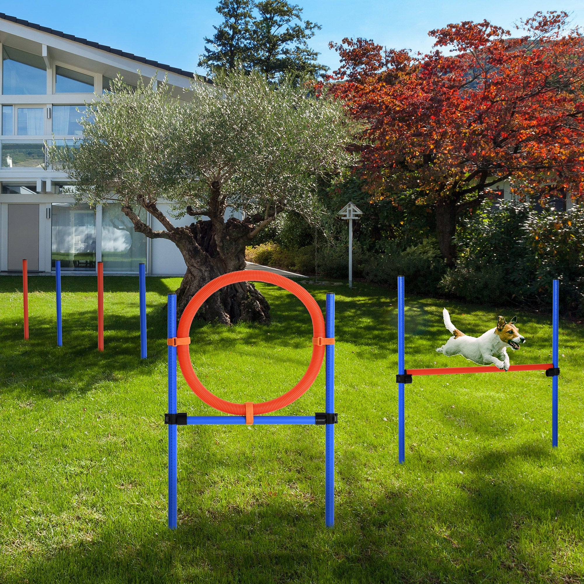 Dog Pet Agility Training Kit High Jump Weave Pole Ring Obedience Training - view 7
