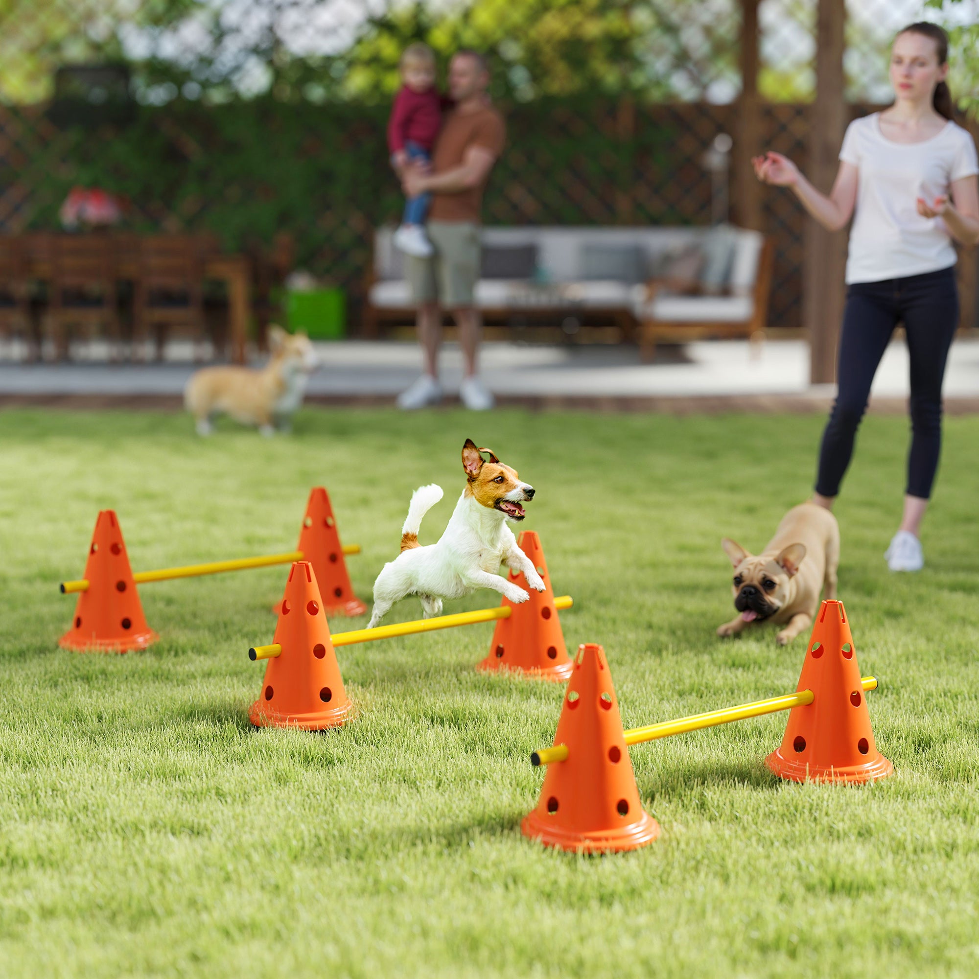 Dog Agility Hurdle Cone Set, Adjustable Obstacle Course Equipment with 6 Cones - view 7
