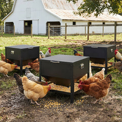 Large Capacity Chicken Feeding Box with Openable Lid Chicken Coop - view 3