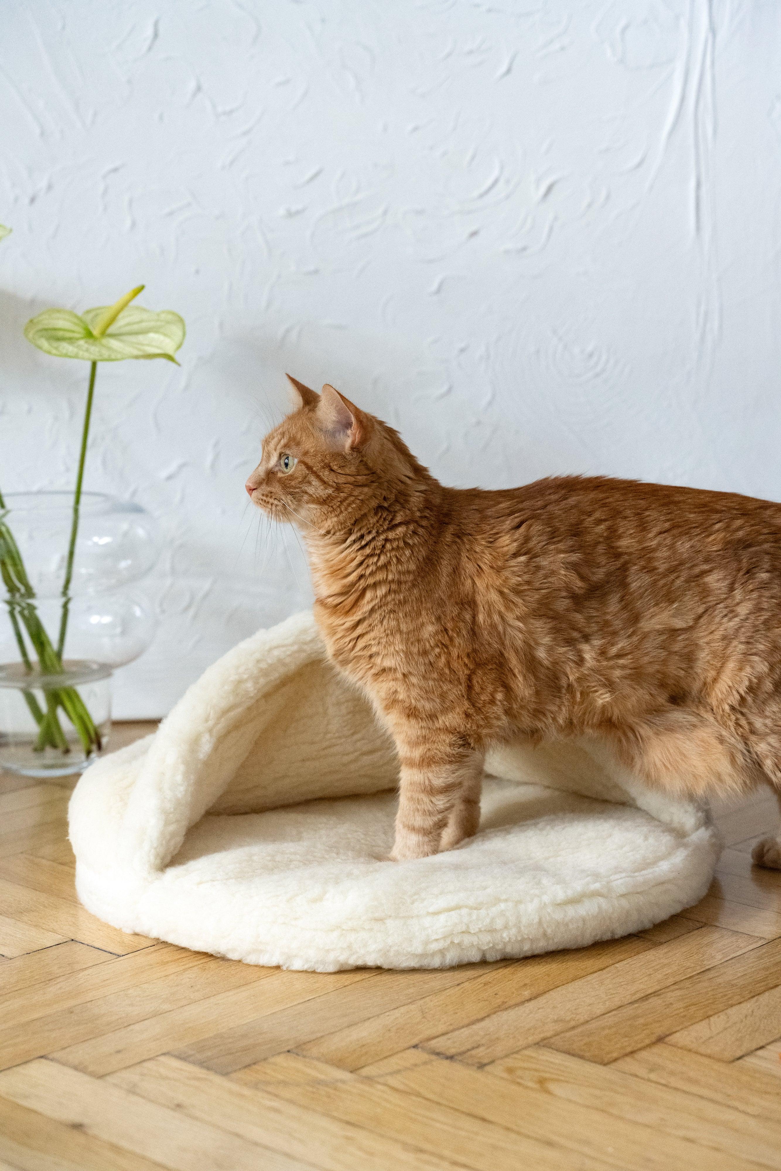 Natural Wool Pet Cave White | Hand-Felted Cat & Small Dog Bed | Mellow Pet - alternate view