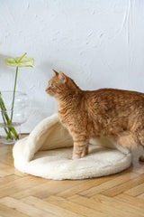 Natural Wool Pet Cave White | Hand-Felted Cat & Small Dog Bed | Mellow Pet - alternate view
