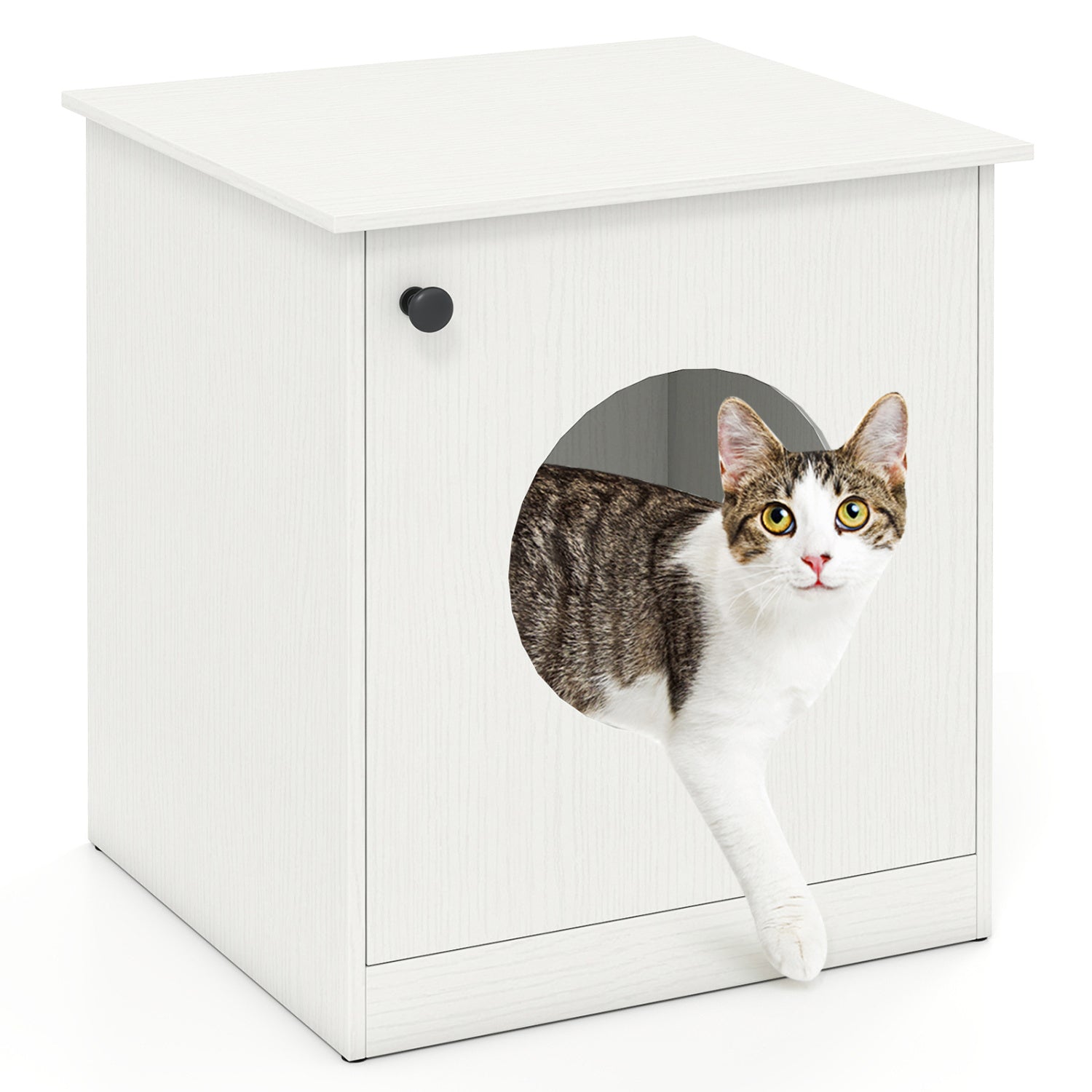 Modern Cat Litter Box Enclosure for Small to Large Cats Cat House