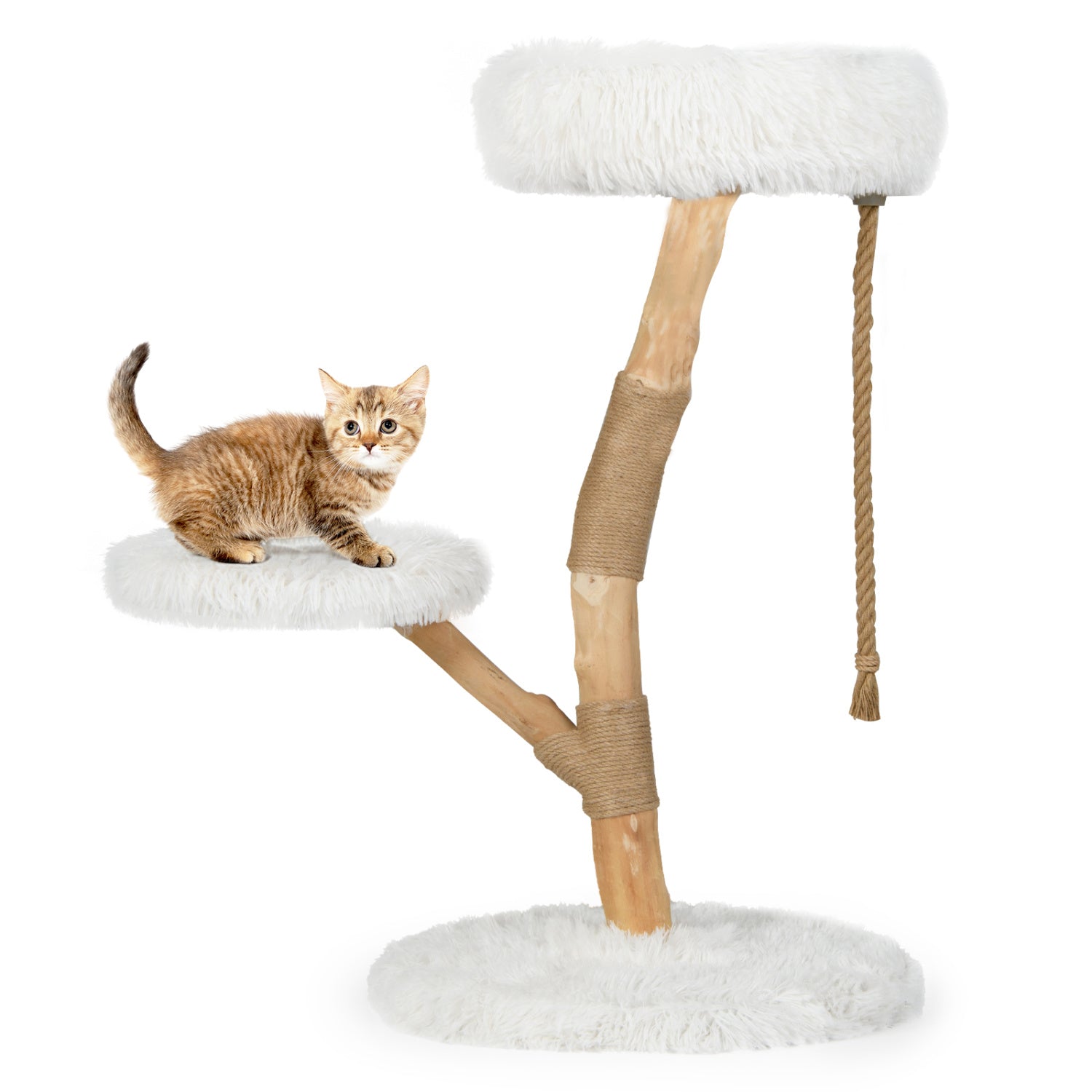 Modern Wooden Cat Tree Tower with Perch and Natural Jute Scratching Posts - view 4