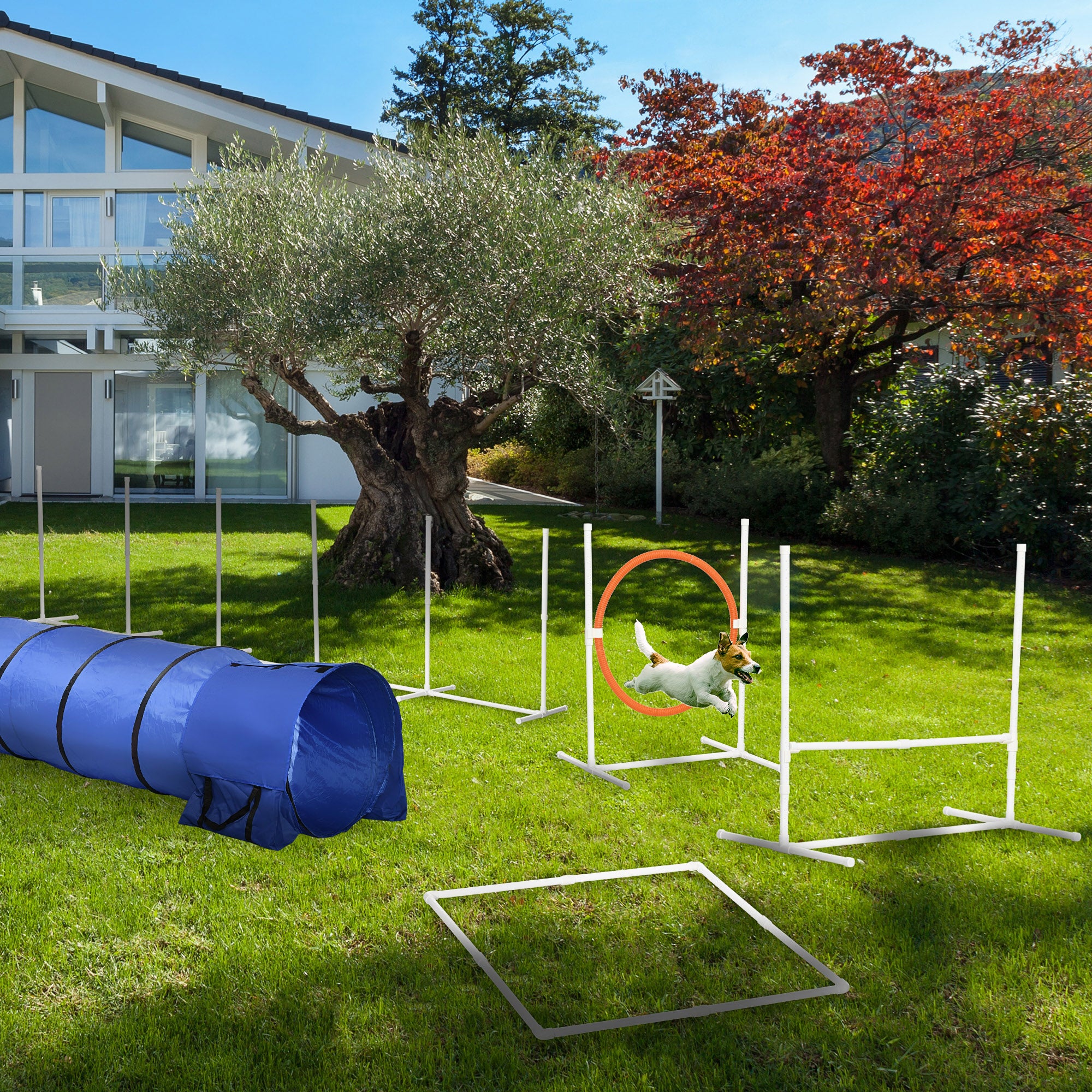 5Pcs Dog Agility Training Equipment with 8.7KG Net Weight, Pet Agility - view 7