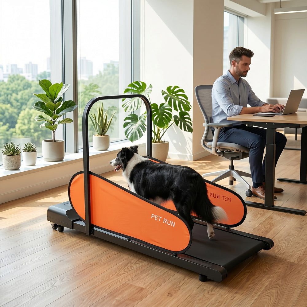Pet Treadmill for Small & Medium Dogs with LED Display and Adjustable Speed Dog - view 2