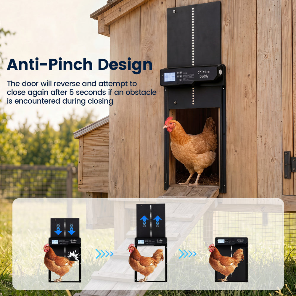 Solar Powered Automatic Chicken Coop Door - view 5