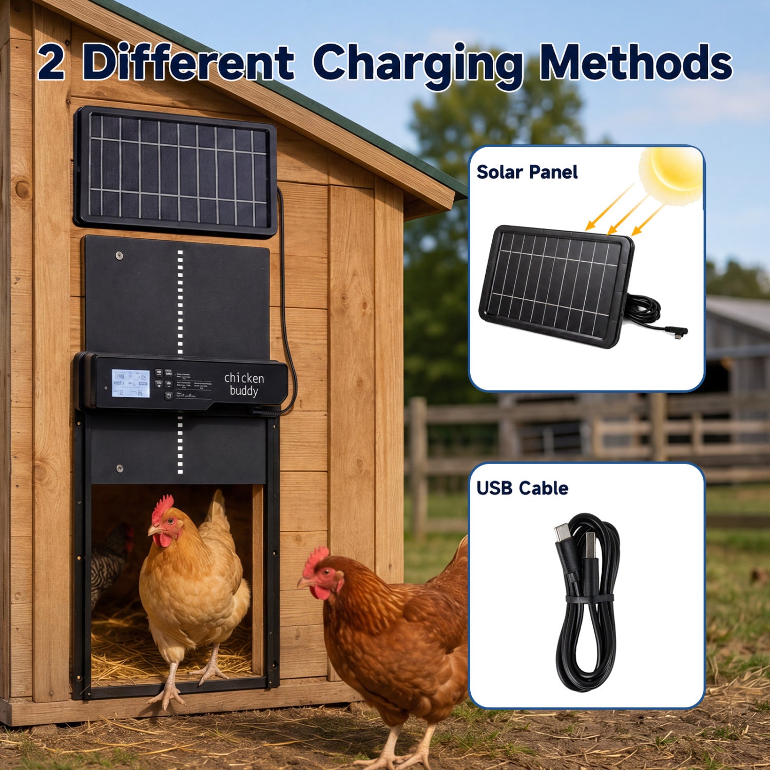 Solar Powered Automatic Chicken Coop Door - view 8