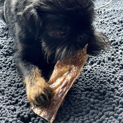 6 Inch Beef Jerky Strip