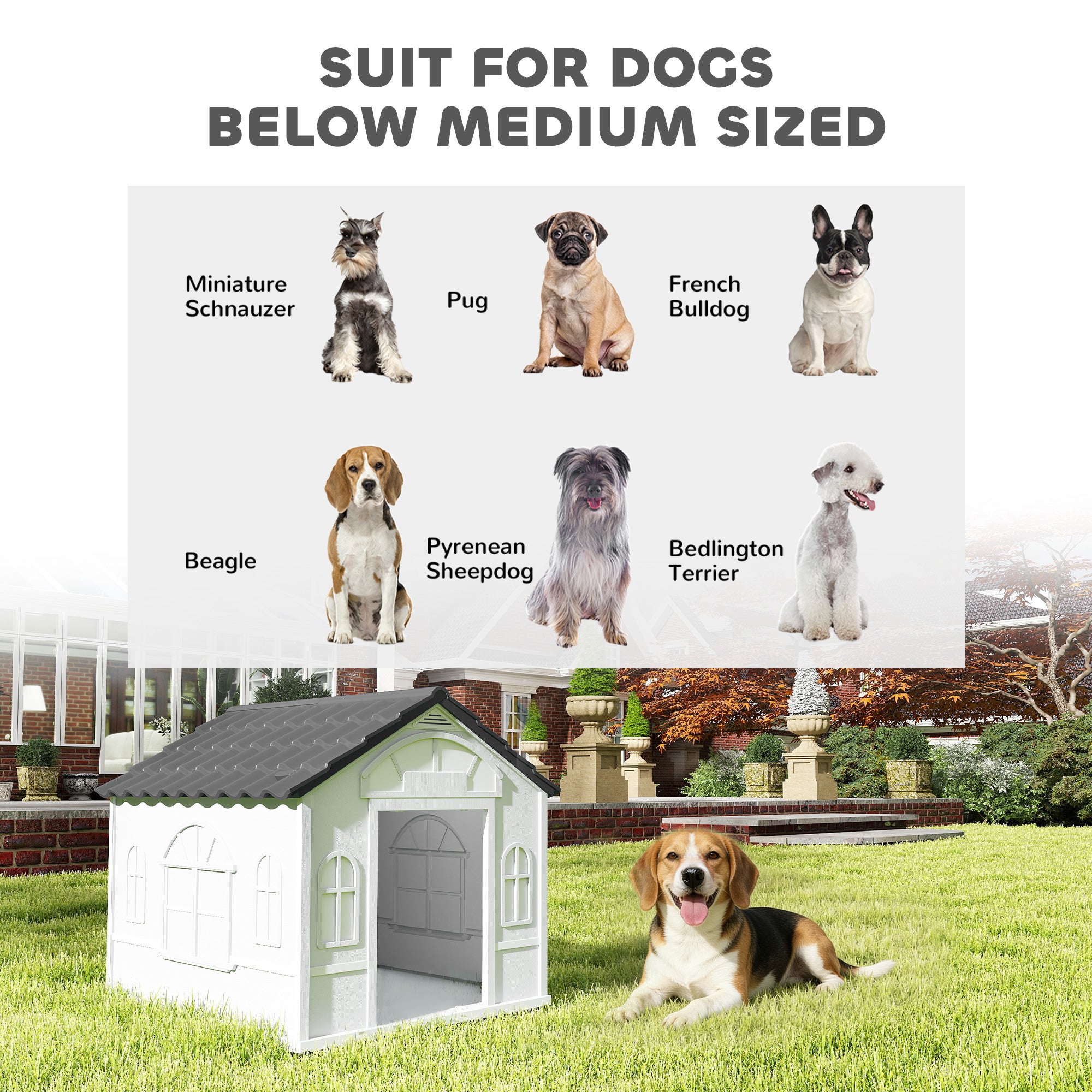 26" Plastic Dog House Outdoor with Air Vents, for Small Medium Dogs Dog Crate - view 6