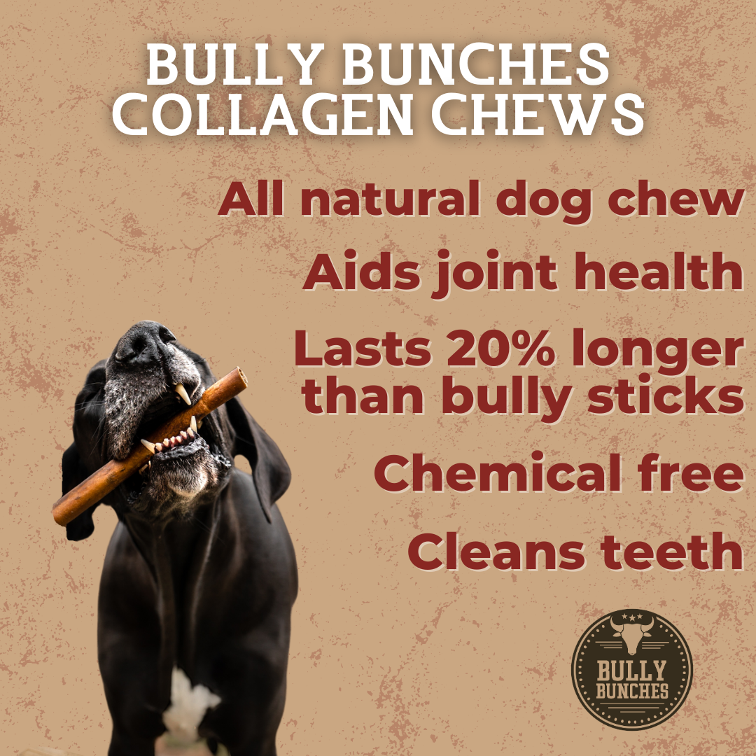 10-12 Inch Champion Chew