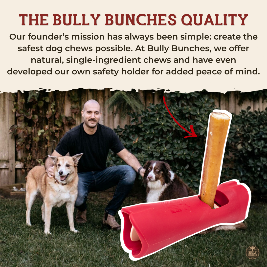 12 Inch Standard Bully Stick
