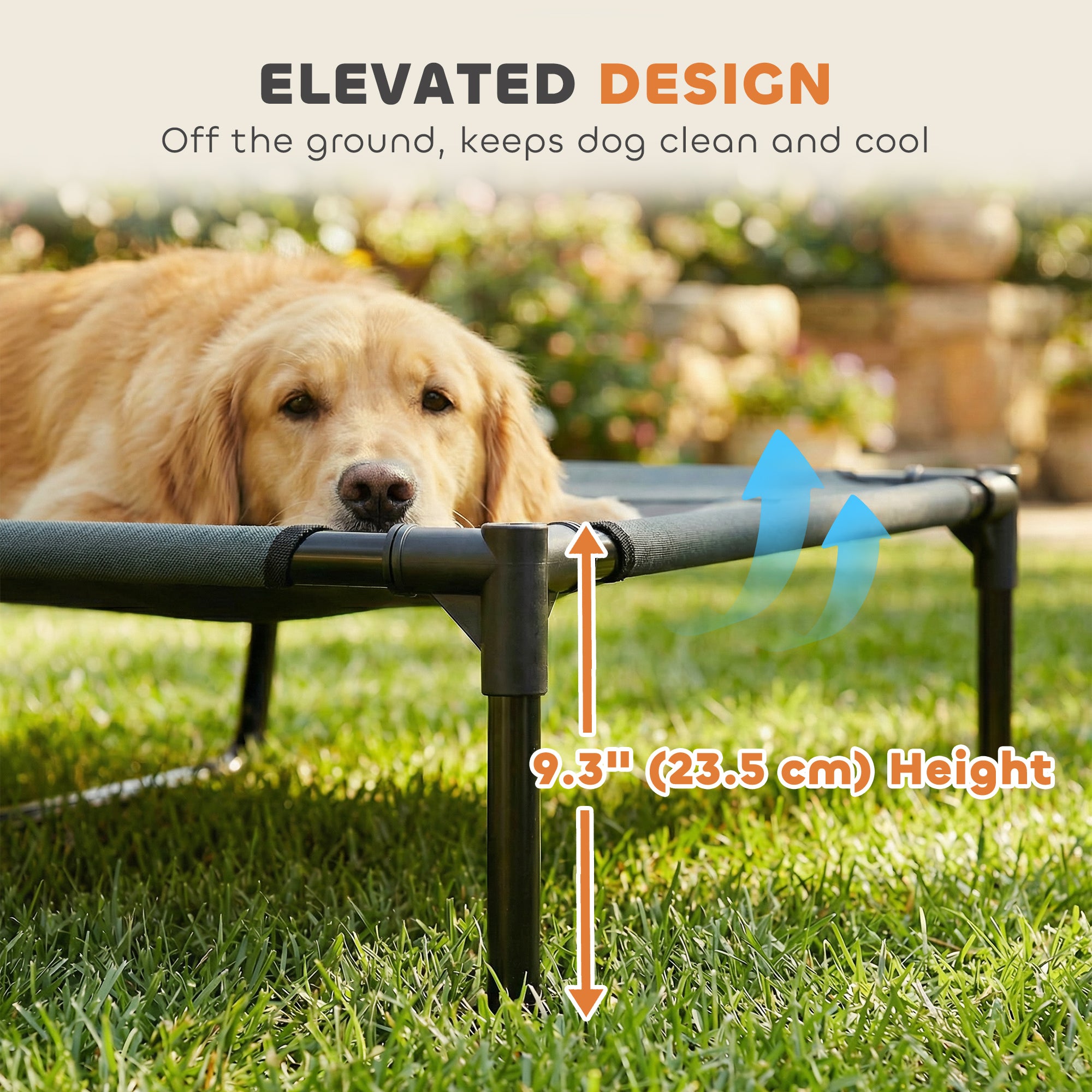 Elevated Dog Bed with Canopy, Portable Raised Dog Cot for XL Sized Dogs, Indoor - view 5