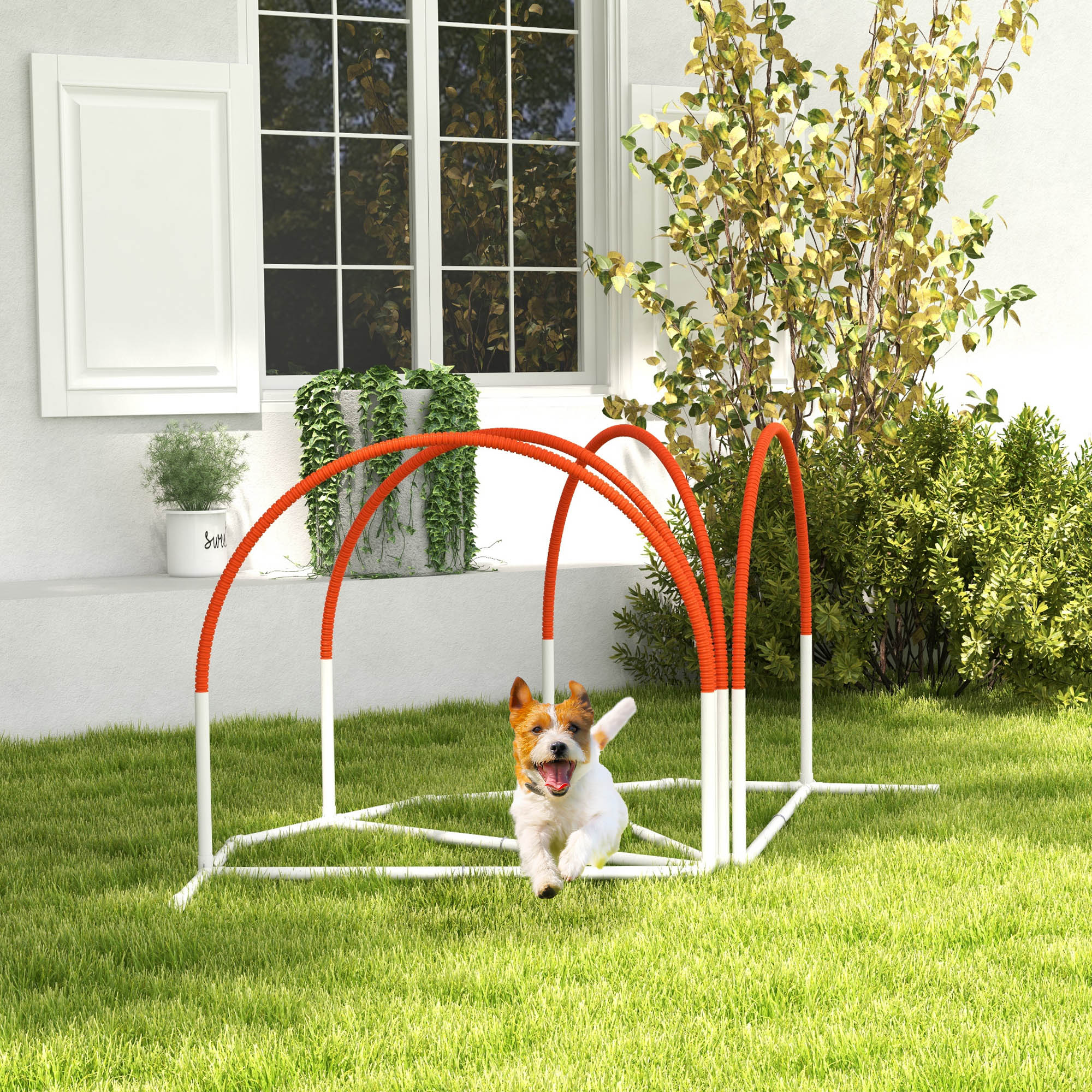 Dog Agility Kit Pet Obstacle Course Training Equipment Outdoor with Weave - view 7