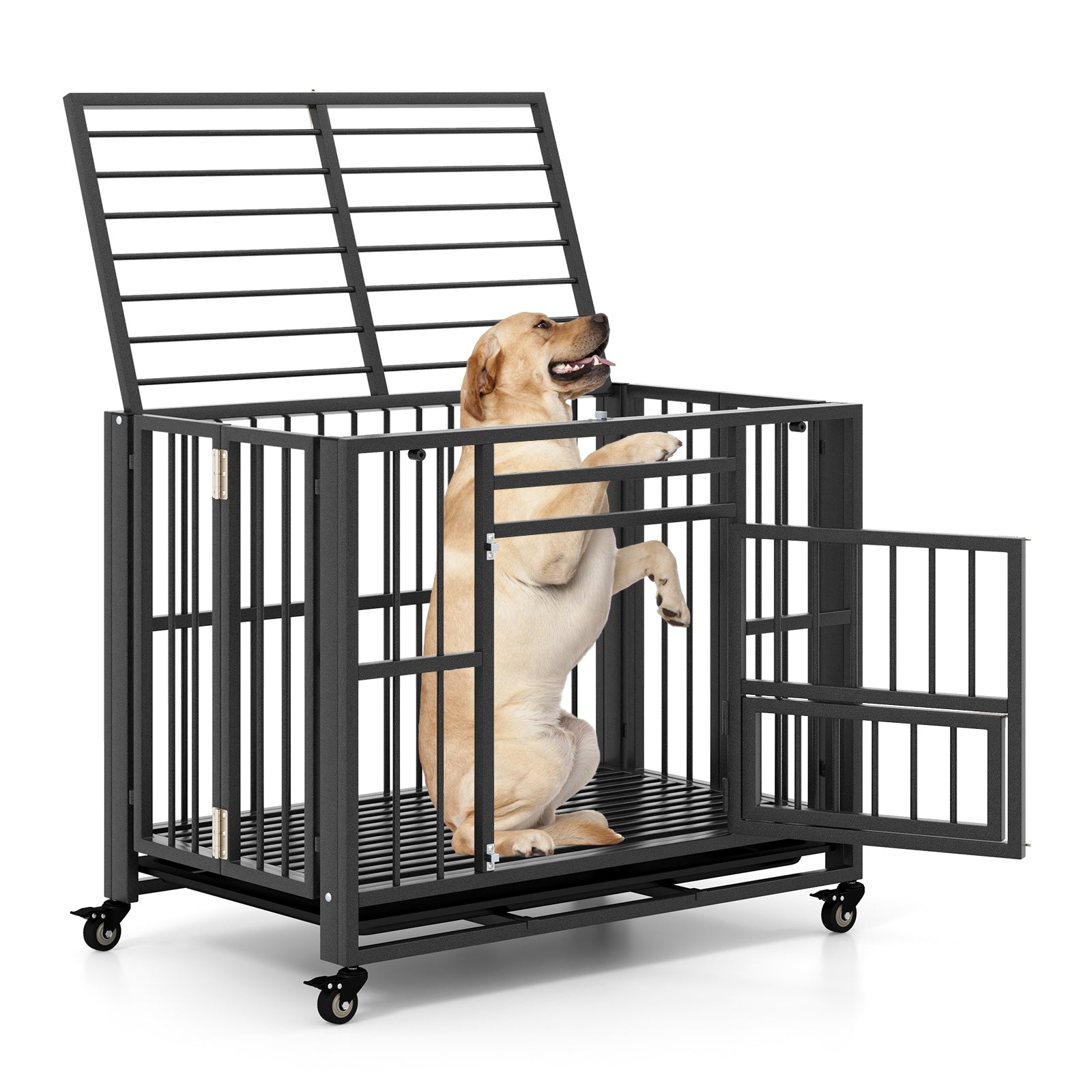 Foldable Heavy-Duty Metal Dog Cage Chew-proof Dog Crate with Lockable Universal - view 4