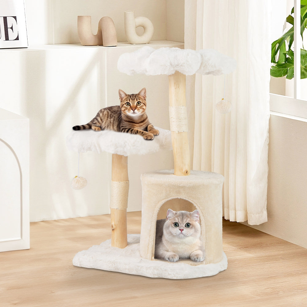 Cute Solid Wood Cat Tree Natural Branch Modern Flower Cat Tower with Sisal - view 3