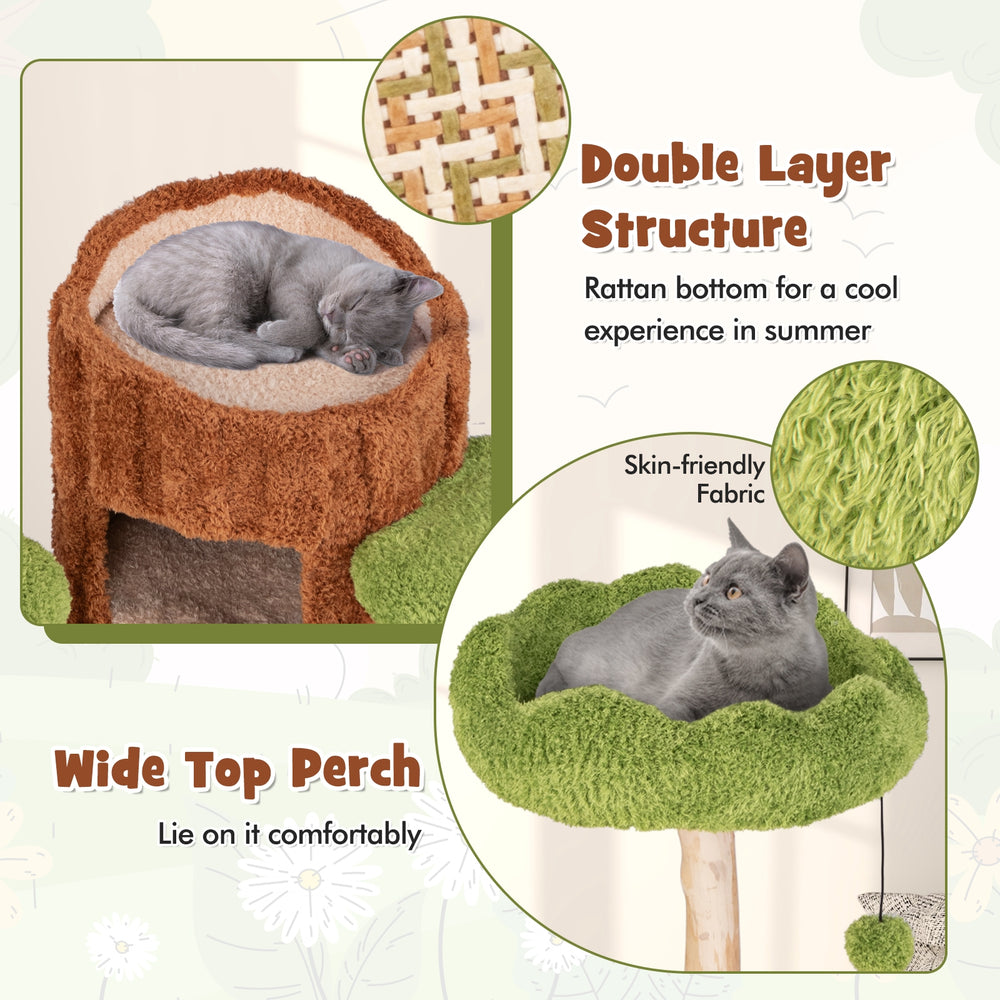 Multi-level Cat Tree with Double Decker Cat House and Sisal Panel - view 8