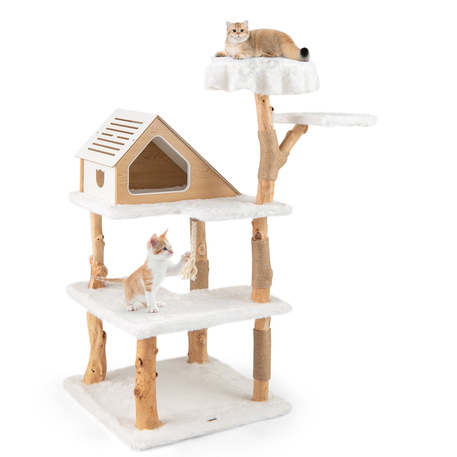 60 Inch Tall Solid Wood Cat Tree Modern Wooden Cat Tower with 2 Perches
