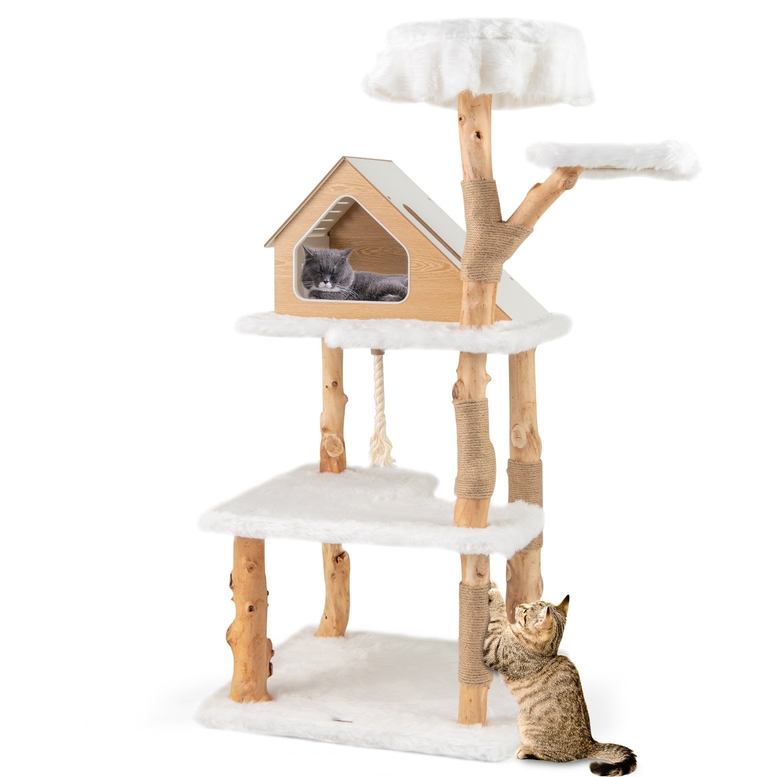 60 Inch Tall Solid Wood Cat Tree Modern Wooden Cat Tower with 2 Perches - view 4