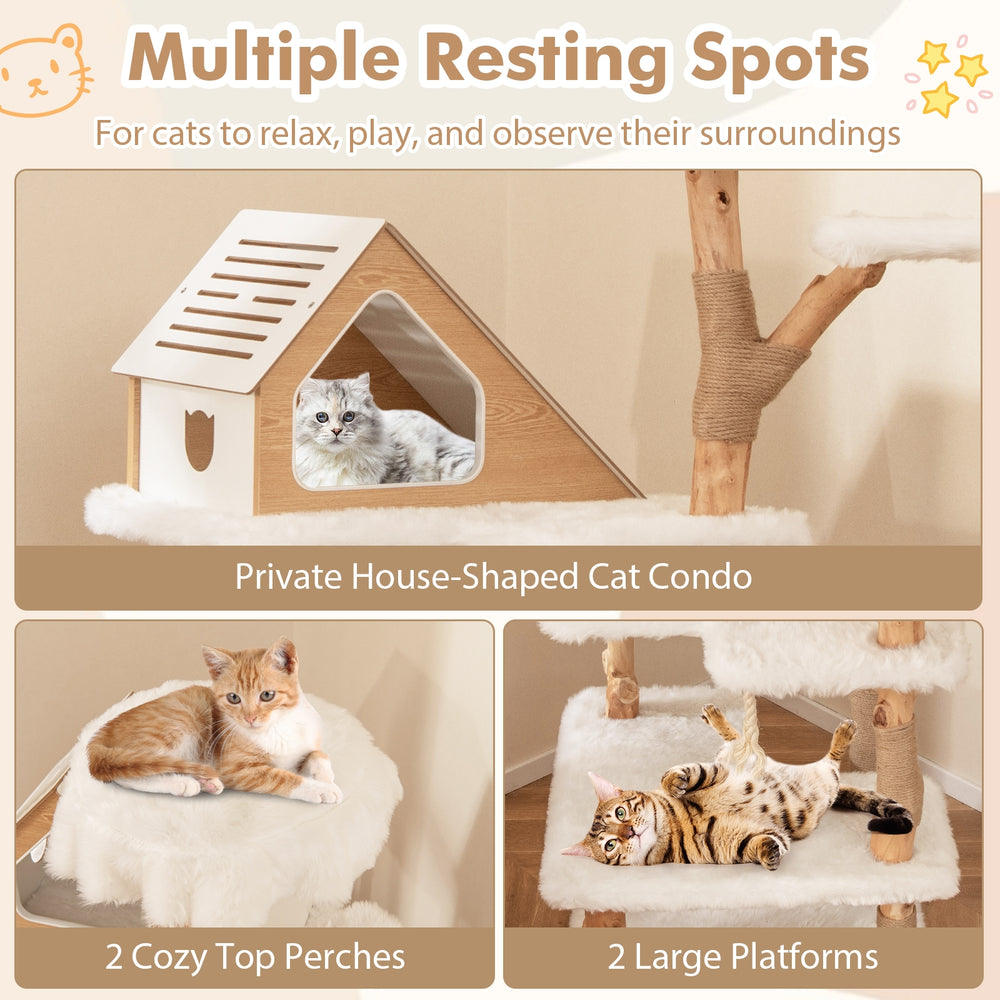 60 Inch Tall Solid Wood Cat Tree Modern Wooden Cat Tower with 2 Perches - view 7