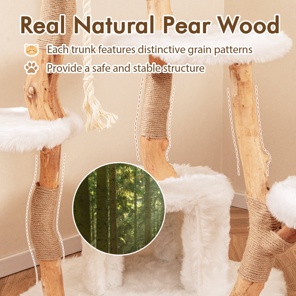 66 Inch Tall Solid Wood Cat Tree Modern Wooden Cat Tower with Perch - view 6