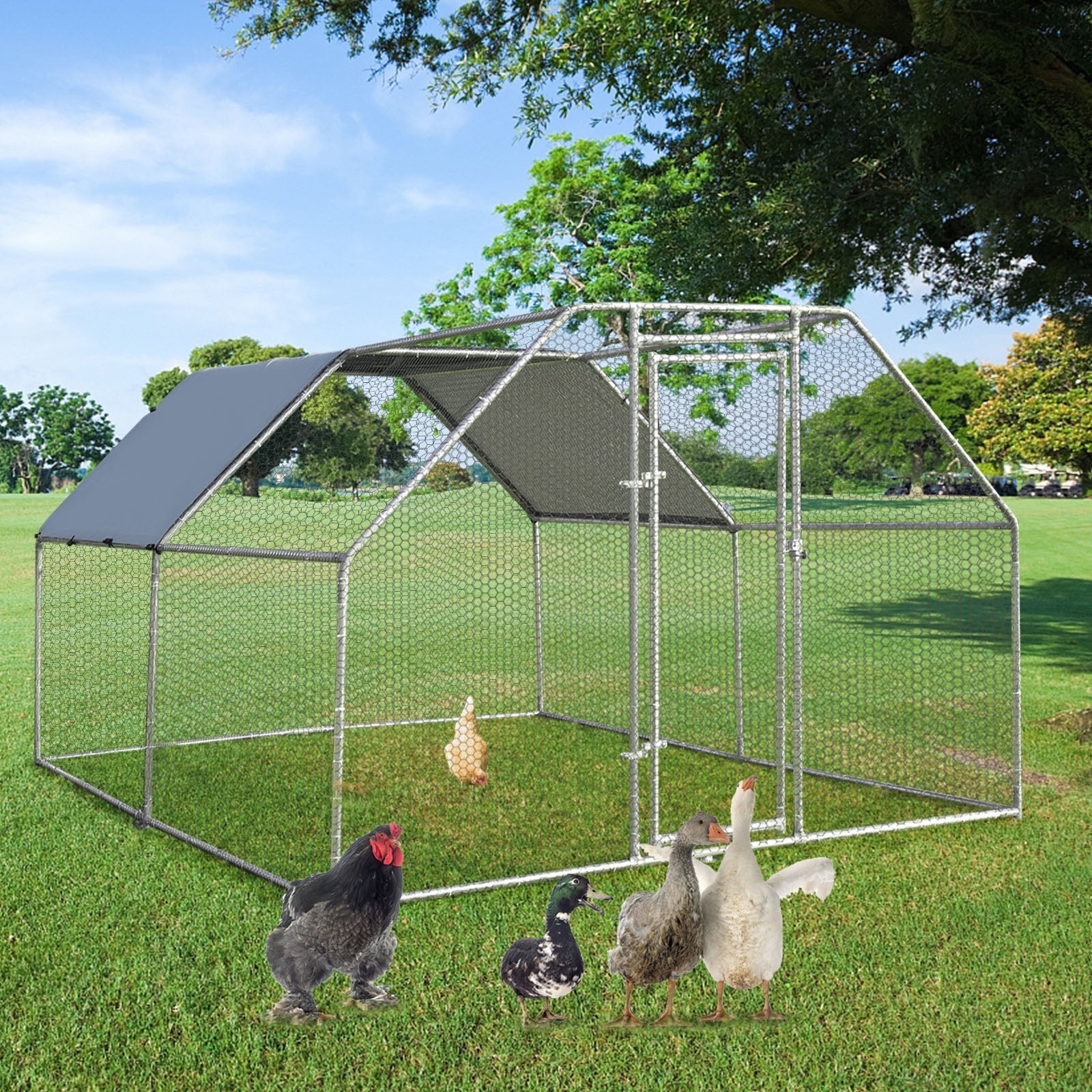 9.5 x 12.5 Feet Large Walk In Chicken Coop Run House - view 6